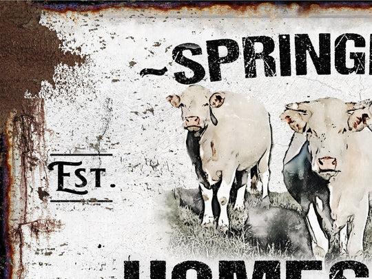 Primitive Charolais Cattle Ranch Sign | Last Name Homestead Sign | Farmhouse Sign | Cattle Farm Sign | Cattle Ranch Sign | Distressed Sign