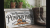 Pumpkin Farm Sign | Farmhouse Pumpkin Sign | Personalized Fall Sign | Autumn Sign | Custom Family Name Fall Sign | Autumn Pumpkin Decor